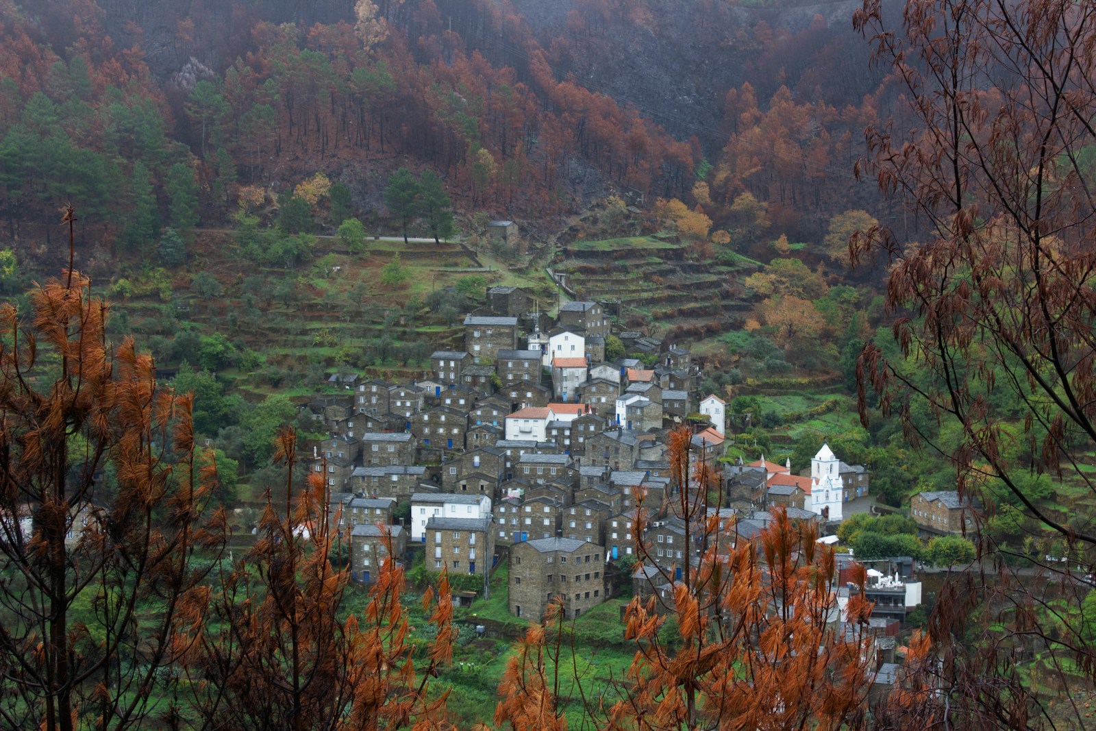 Schist village houses in the Serra da Lousã